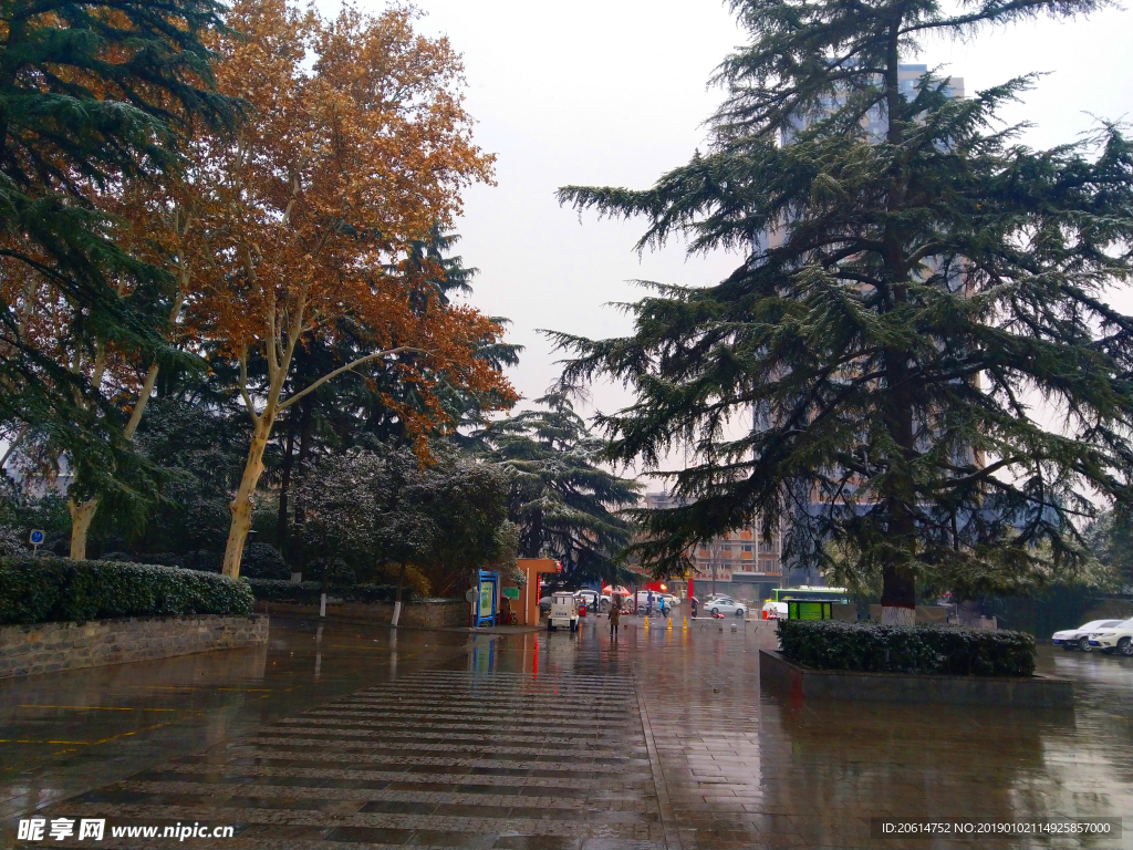 美丽的公园风景