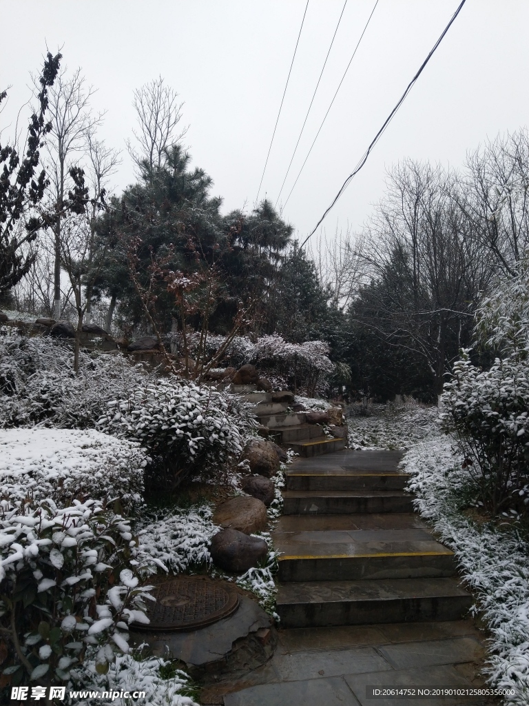 雪天下的公园风景