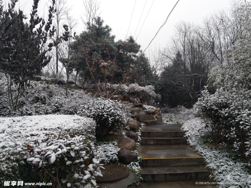 雪天下的公园风景