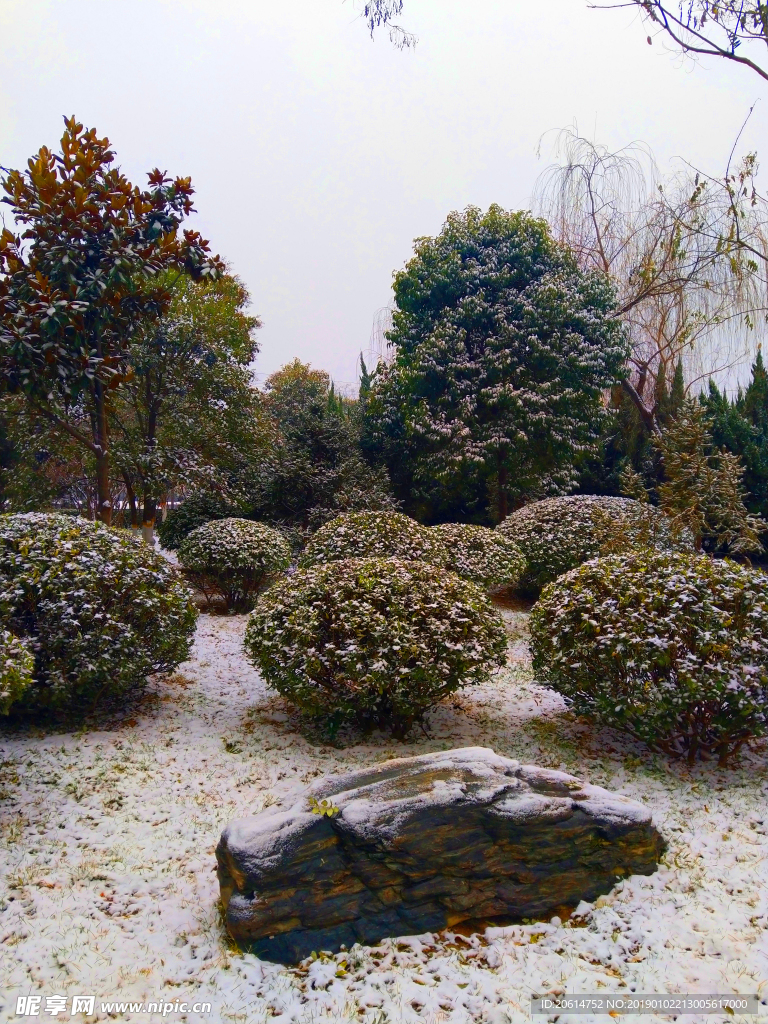 美丽的公园风景