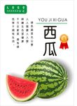 西瓜海报
