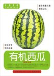 西瓜海报