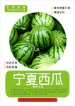 西瓜海报