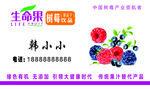 生命果   名片