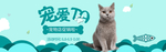 宠物