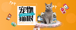 宠物