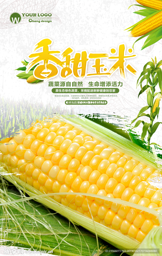 田园玉米海报设计