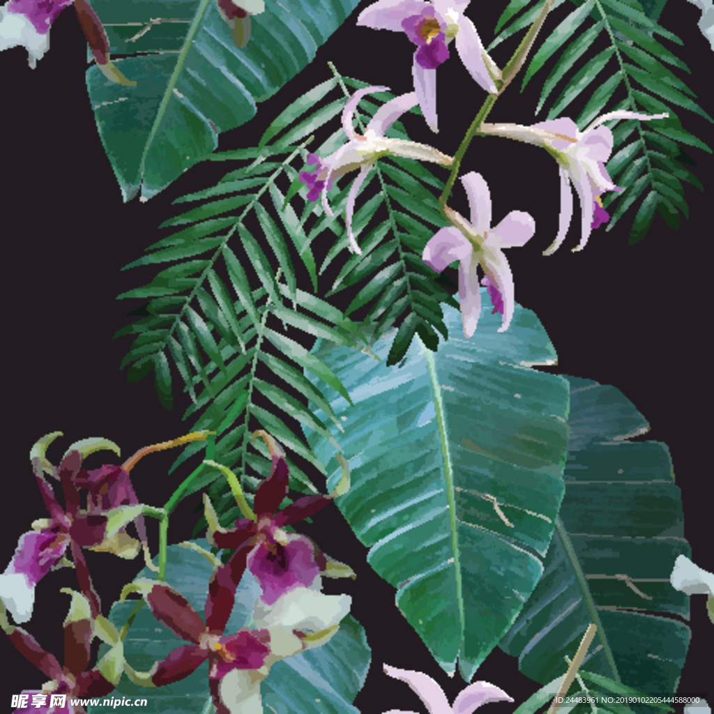 热带植物花卉壁纸
