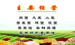 粮油名片