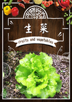 生菜