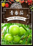 青番茄