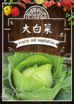 大白菜