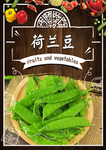 荷兰豆