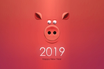 2019 创意 3D  新年