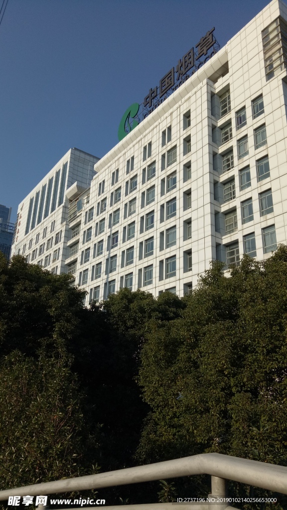 办公楼