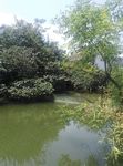 河边