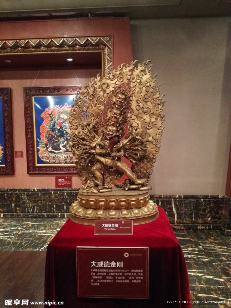 陈列品