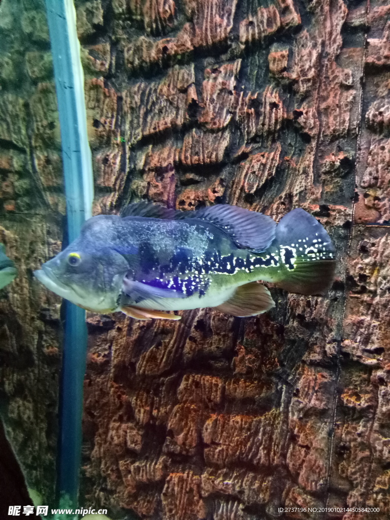水族馆