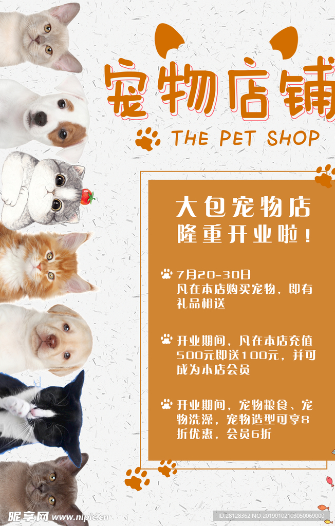 宠物