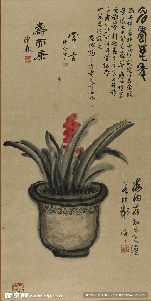 君子兰图