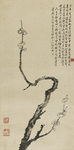 枯梅图