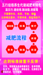 五行经络减肥流程