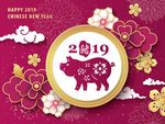 2019新年素材