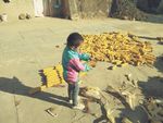 农家小孩图片
