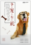 宠物广告