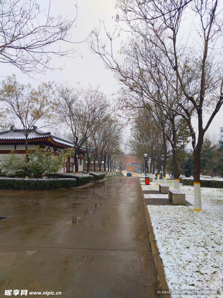 雪天下的公园风景