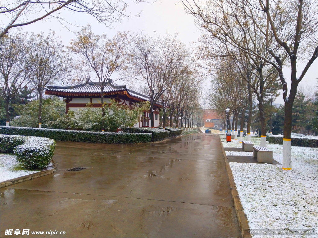 雪天下的公园风景