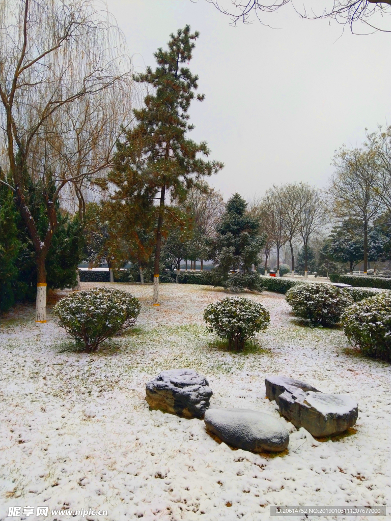 雪天下的公园风景