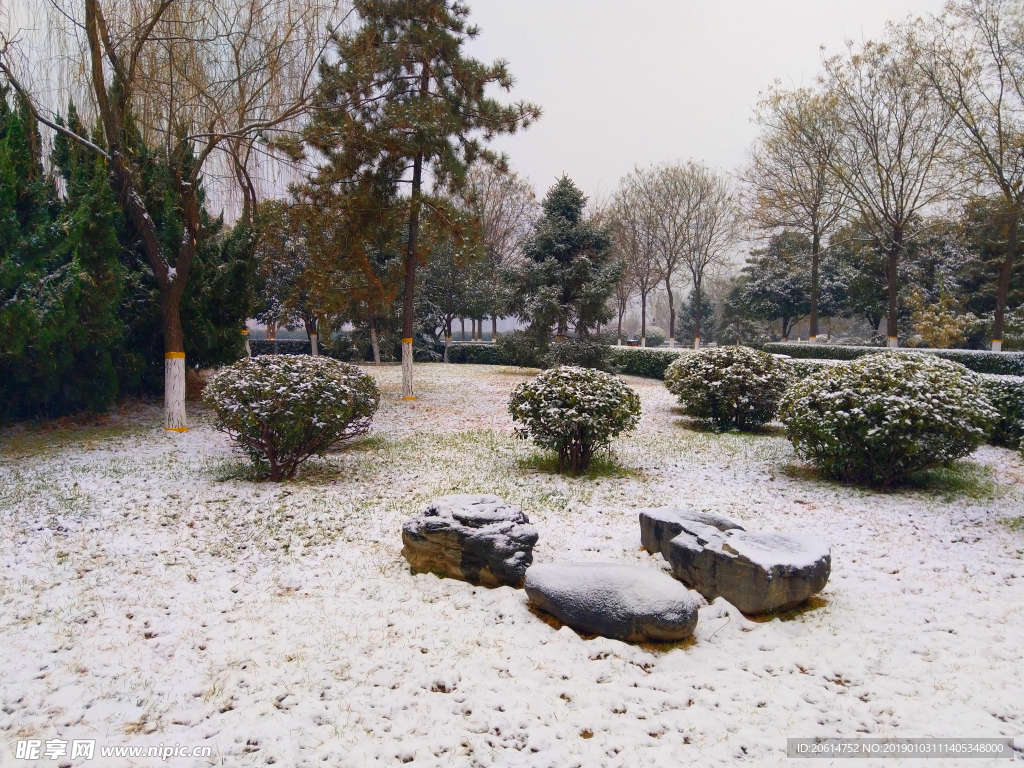 雪天下的公园风景