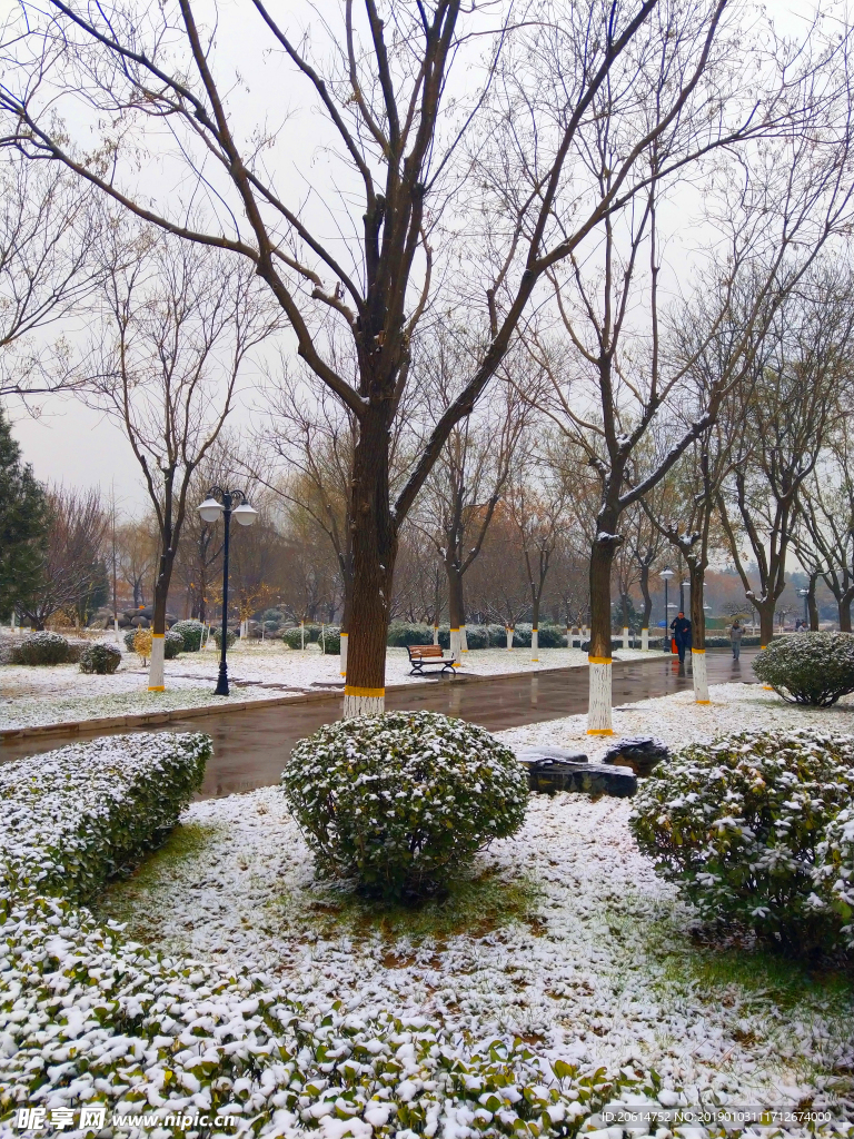 雪天下的公园风景