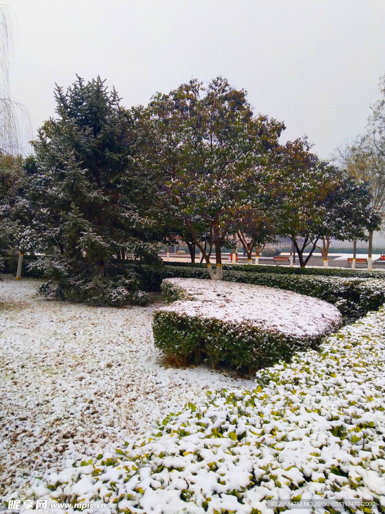 雪天下的公园风景