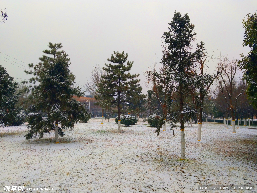 雪天下的公园风景