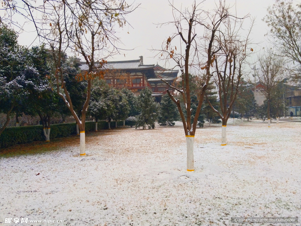 雪天下的公园风景