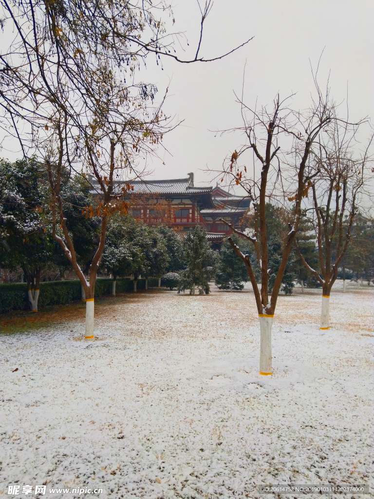 雪天下的公园风景