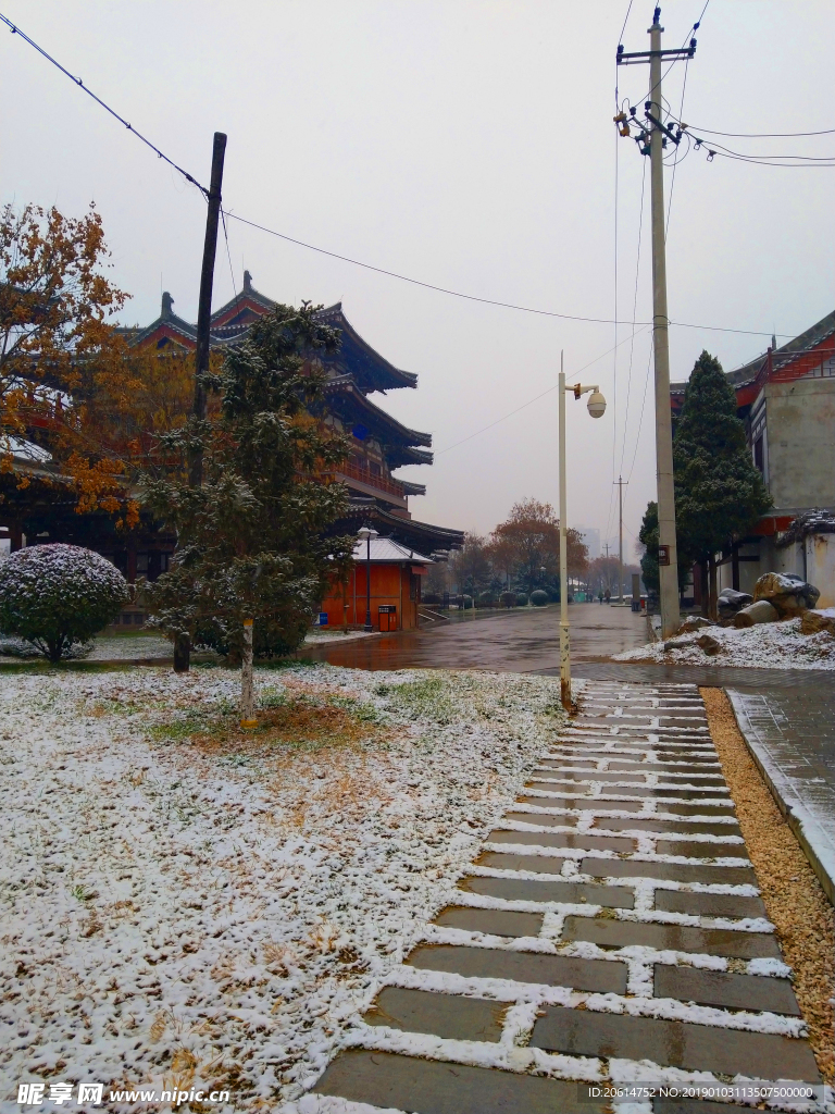 雪天下的公园风景