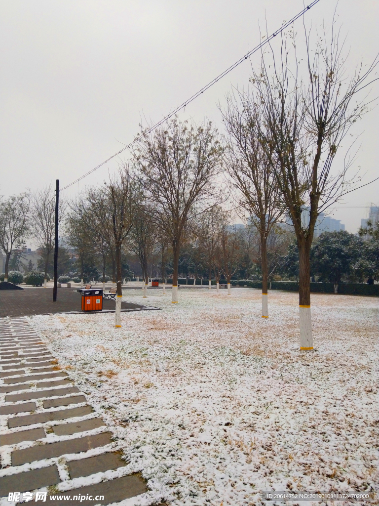 雪天下的公园风景