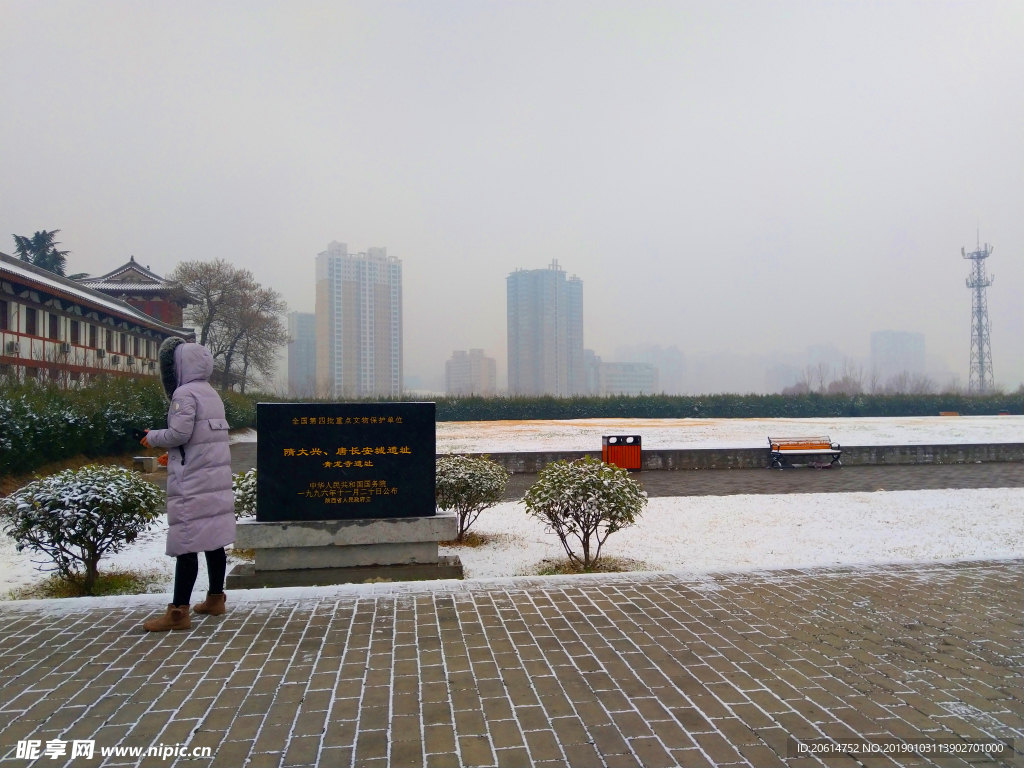 雪天下的公园风景