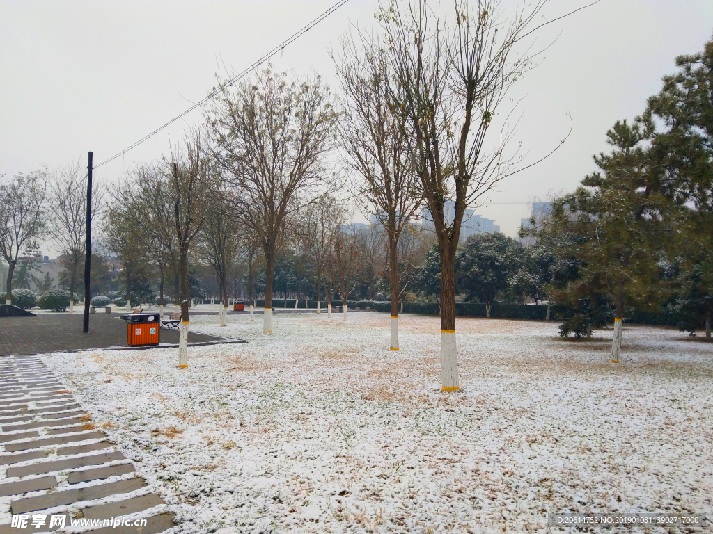 雪天下的公园风景