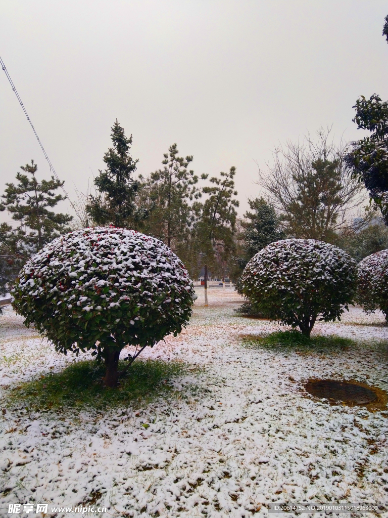 雪天下的公园风景