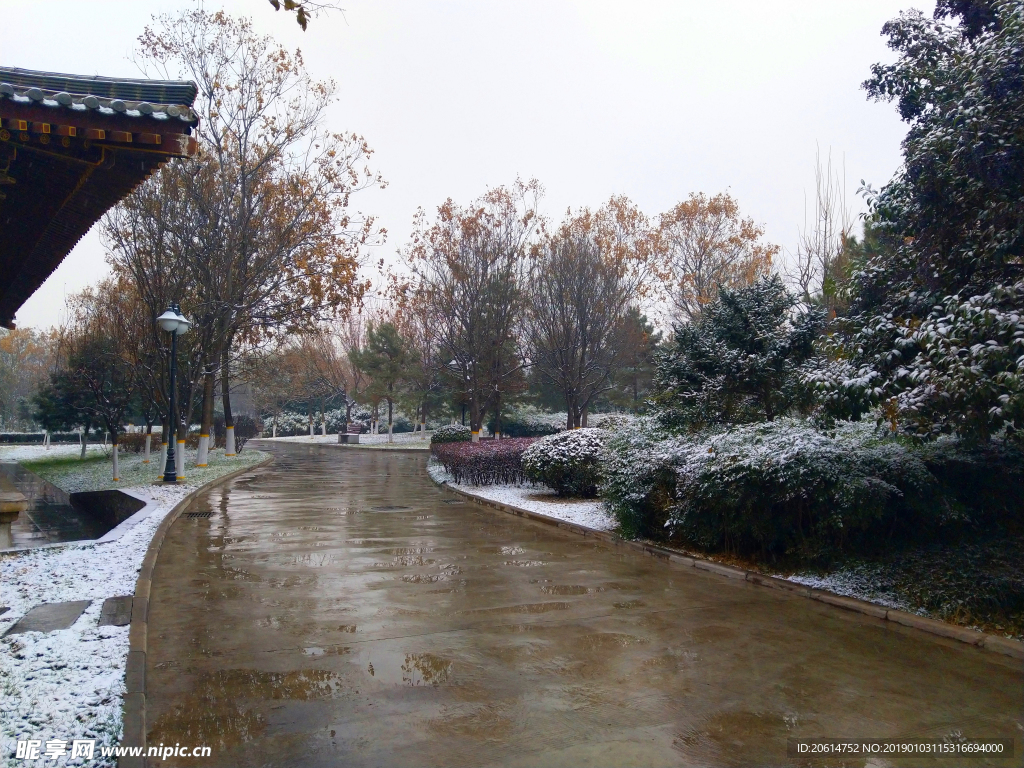 雪天下的公园风景