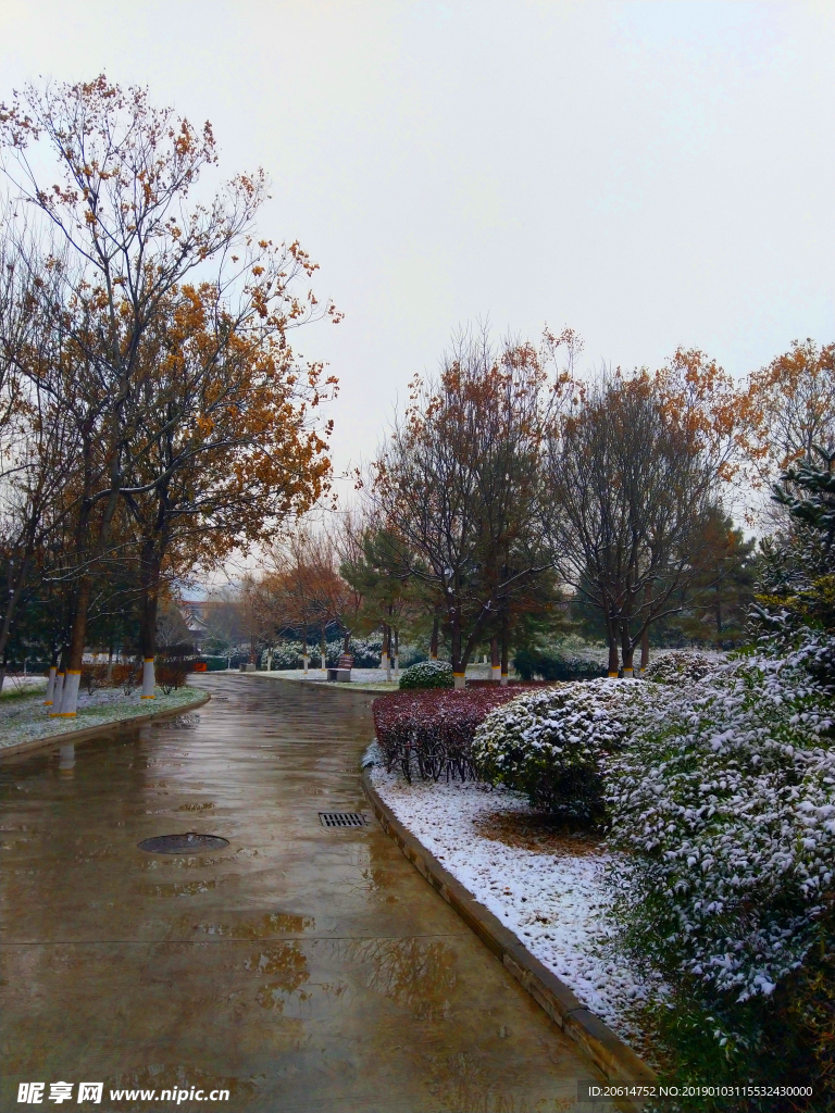 雪天下的公园风景