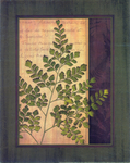 复古美式植物树叶装饰画