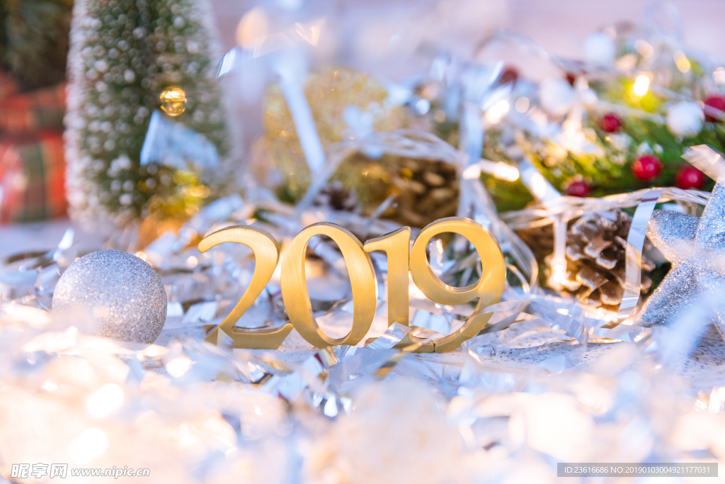2019展示图