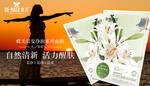蝶美护肤