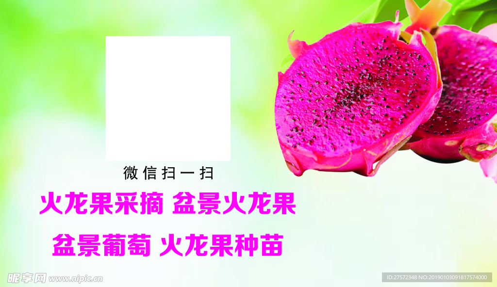 火龙果名片