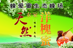 洋槐蜜